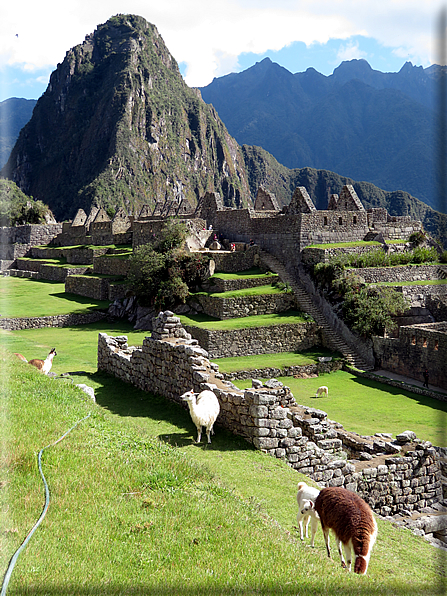 foto Machu Picchu